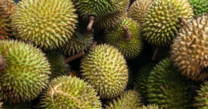 Pexels/Jeffry Surianto